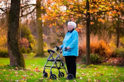 What Is a Rollator? Complete Guide to Types, Benefits, …