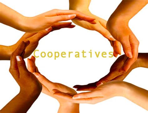 What Is a Worker Cooperative? Principles and Benefits - Indeed