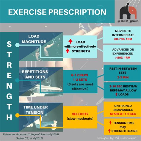 What Is an Exercise Prescription 