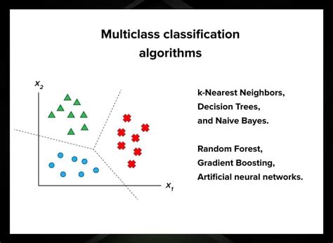 What Is an Image Classifier & What Can You Do With It? - Levity