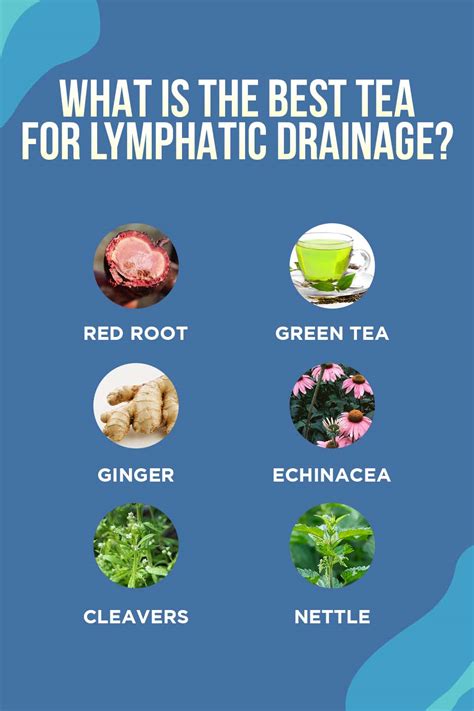 What Is the Best Tea for Lymphatic Drainage? - Hypervibe USA