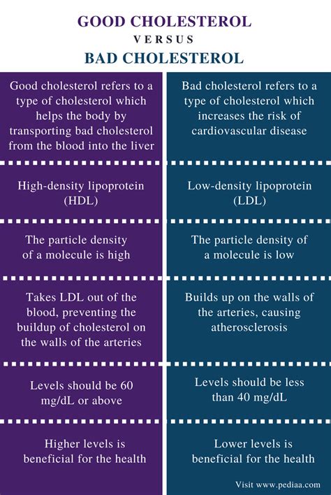 What Is the Difference Between Choleste…