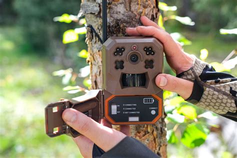 What Is the Easiest Cellular Trail Camera to Use?