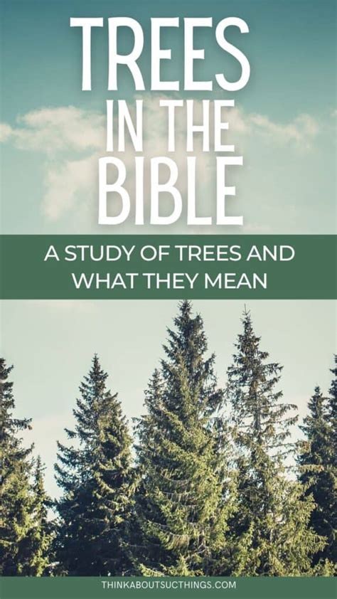 What Is the Significance of Trees in the Bible? Why Did