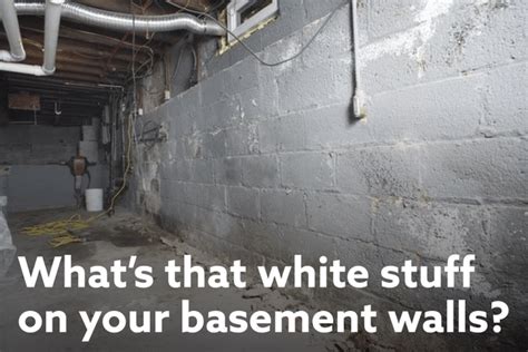 What Is the White Stuff on My Basement Wall? - DryZone, LLC