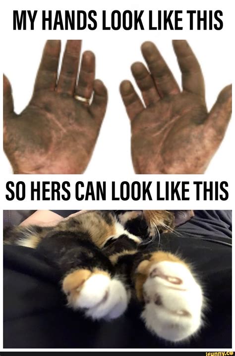 What It Can Look Like