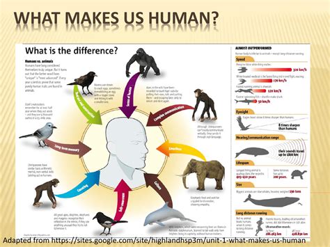 What Makes Us Human
