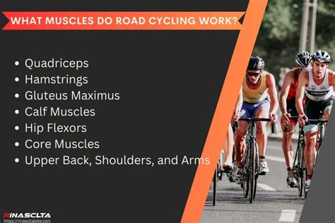 What Muscles Biking Works How Cycling Changes Your Body