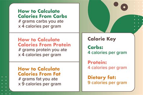 What Percentage of My Daily Calories Should Come From Fat ...