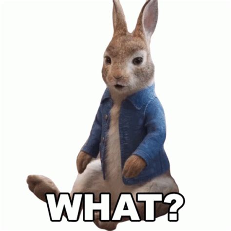 What Peter Rabbit GIF – What Peter Rabbit Peter Rabbit2The