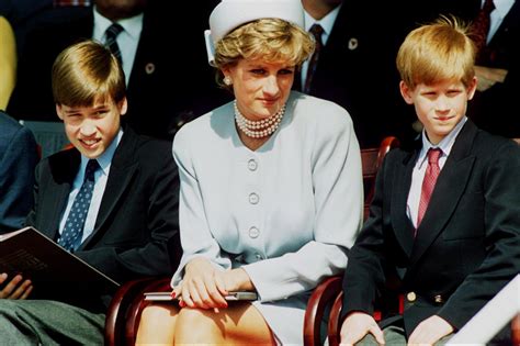 What Prince Harry and Prince William Inherited from Diana Reader