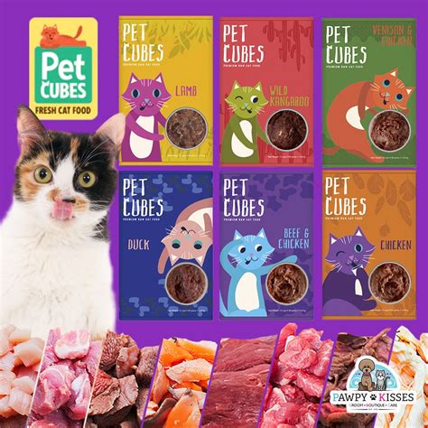 What Raw Meat Can Cats Eat? – PetCubes