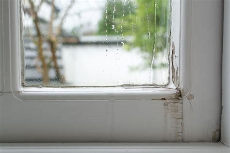 What Should I Do if My Windows Leak When it Rains?