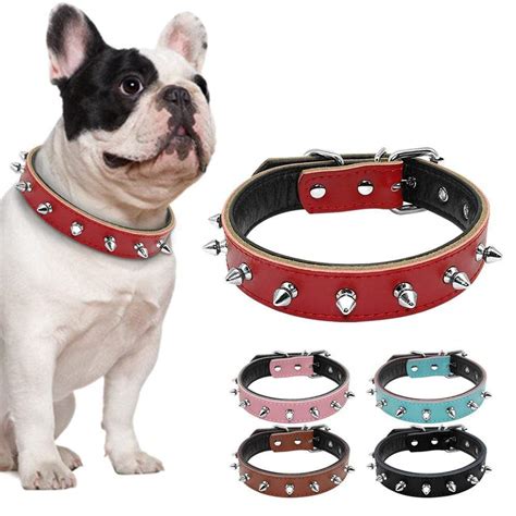What Size Collar For A French Bulldog Puppy