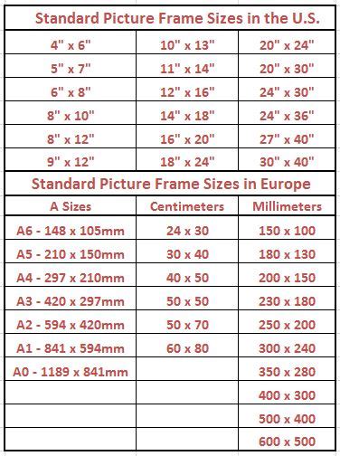 What Size Is A European 40 dogbasicsdesign