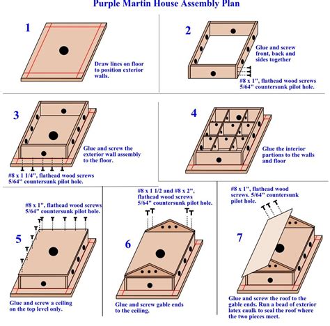 What Size Should A Martin House Be? PetThings