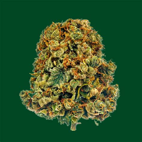 What Strain is Tangilope? Effects & Flavors The Weed Street …