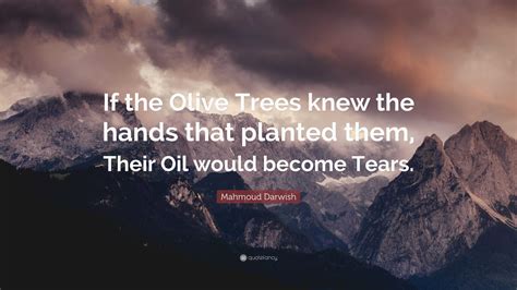 What The Trees Knew