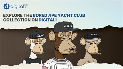 What This Means for APE Holders: A Practical Guide