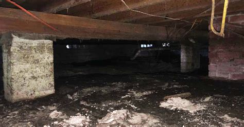 What To Do About High Crawl Space Humidity JES Foundation Repair