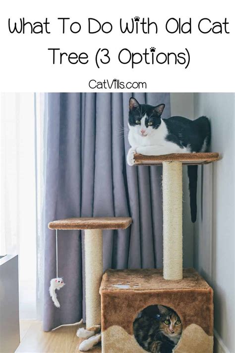 What To Do With Old Cat Tree (3 Options With DIY Guide)