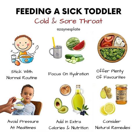 What To Feed Baby With Sore Throat – TheEcoBaby