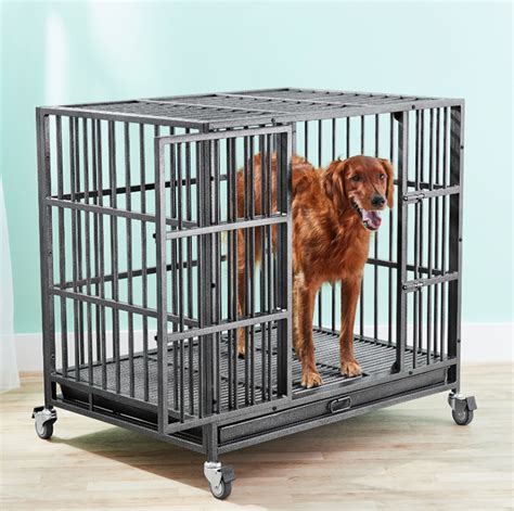 What To Look For In An Escape-Proof Dog Crate – Impact Dog …