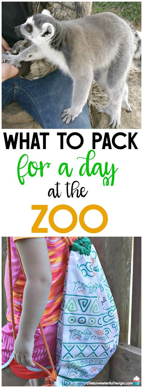 What To Pack for a Zoo Trip - Life is Sweeter By Design