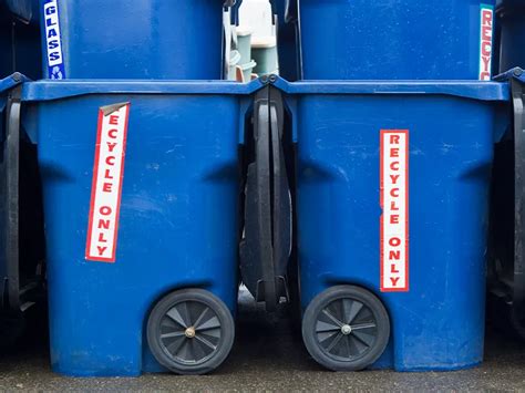 What To Put In Blue Recycle Bin California? - DumpDisposal