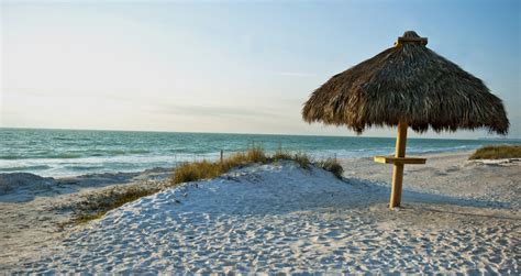 What Types of Wildlife Can You See on Anna Maria Island