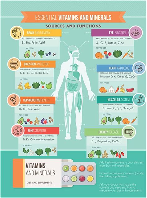 What Vitamins Does The Human Body N…