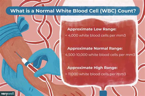 What WBC count range may indicate CML 