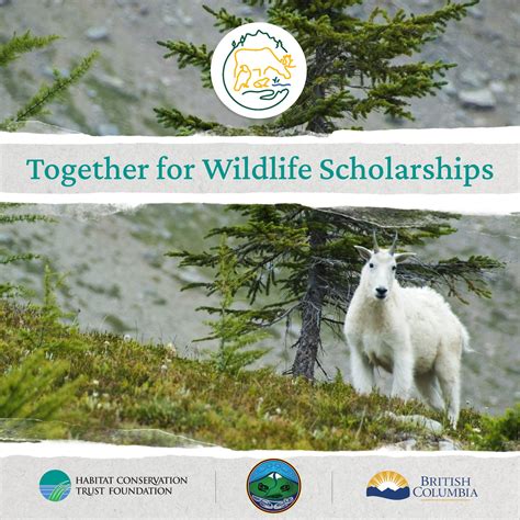 What We Do – First Nations–B.C. Wildlife and Habitat Conservation Forum