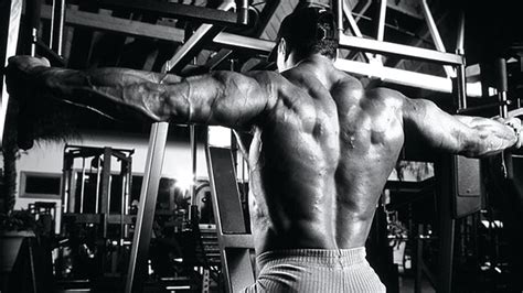 What You Don t Know About Training Delts