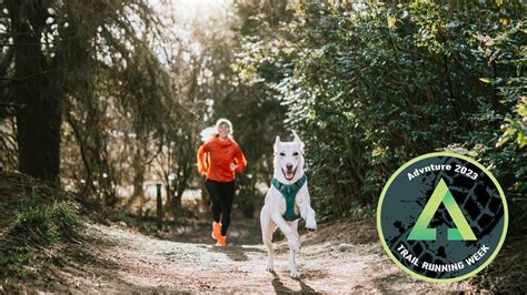 What You Need to Know About Running With Your Dog