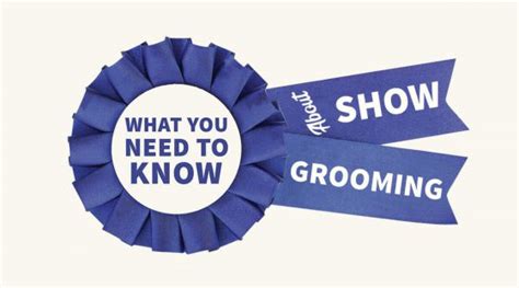 What You Need to Know About Show Grooming