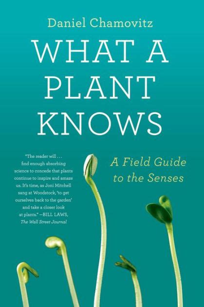 What a plant knows a field guide to the senses. - The seaweed jelly diet cookbook guide by clayten tylor.