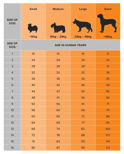 What age is best to breed a dog. .  <a href=https://wittz.pl/j1x75jq/a95l...