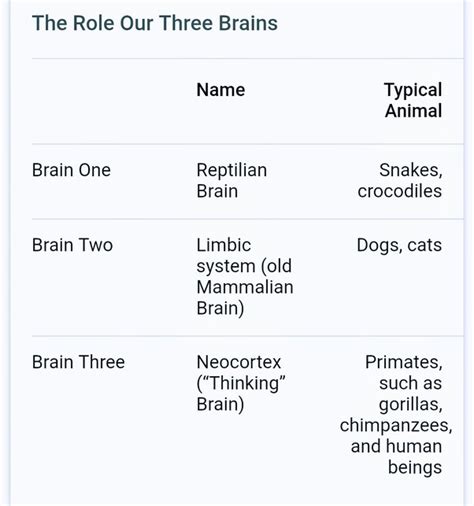 What animal has 11 brains? - Quora