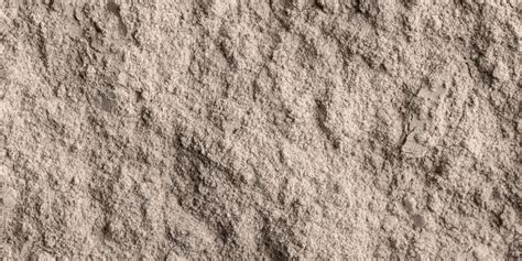 What animal makes limestone