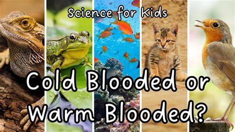 What animals are hot blooded.  But this hot-blooded evolutional trick has a Not any...