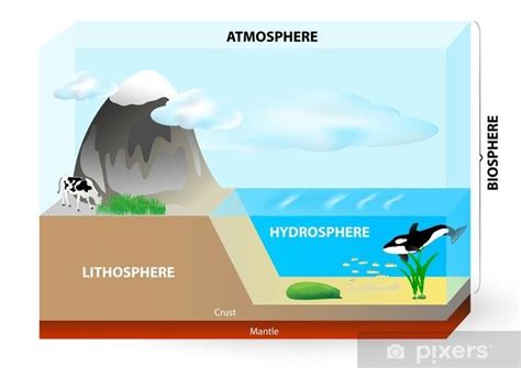 What animals live on the lithosphere? - Answers