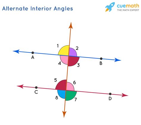 What are Alternate Interior Angles? - Study.com