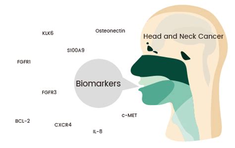 What are Cancer Biomarkers Sino Biological