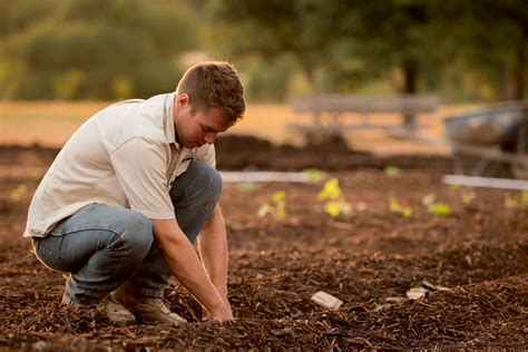 What are Care Farms? Healthy Living, Wellness