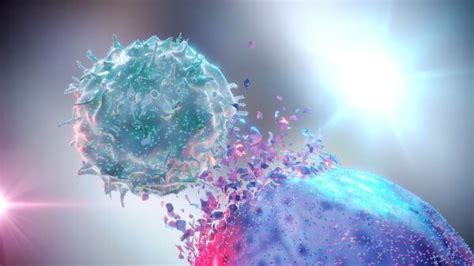 What are Natural Killer Cells and How Do They Fight Cancer?