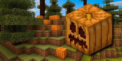 What are Pumpkin Blocks in Minecraft