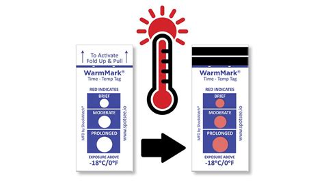 What are Time-Temperature Indicators? - All the Science