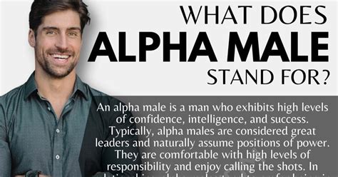 What are alpha males. Alpha Males are traditionally associated with characteristics such as physical dominance, charisma, high confidence, leadership and assertiveness. They are also ... 
