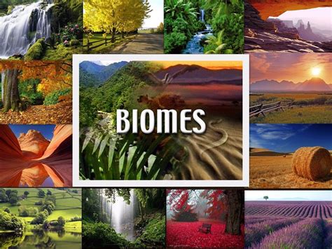 07-Jan-2020 ... Biomes are regions or landscapes of the world tha